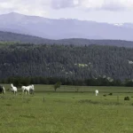 Bansko Travel Essentials — Practical Tips for Visitors