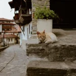 Best Day Trips From Veliko Tarnovo, Bulgaria