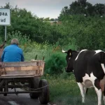 Bulgaria Unveils Restored Ancient Roman Amphitheater for Spring 2026 Tours