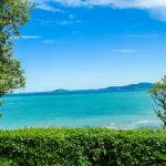 The Best Restaurants in Burgas: Seafood, Street Food, and Local Gems