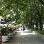 Where to Shop in Ruse: Your Guide to Alexandrovska Street &amp; Souvenir Finds