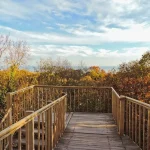 Best Restaurants in Varna: A Culinary Journey Through the Black Sea Pearl