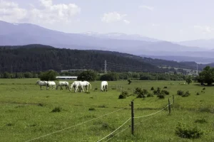 How to Get to Bansko: Your Complete Transport Guide from Sofia Airport