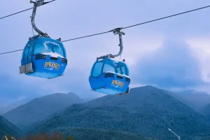 Where to Eat in Bansko: Top Picks for Every Budget