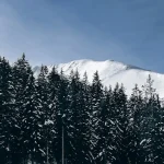 Bansko Food Guide: Must-Try Traditional Bulgarian Dishes