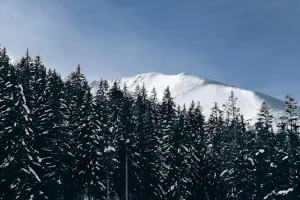 Bansko Food Guide: Must-Try Traditional Bulgarian Dishes