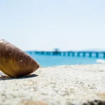 Best Time to Visit Burgas, Bulgaria: A Seasonal Breakdown for Travelers