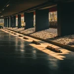 Car vs. Bus vs. Train: Choosing the Best Transport for Your Bulgaria Trip