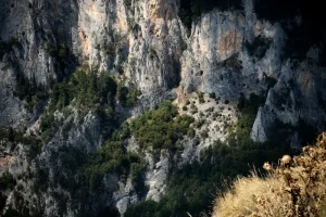 Melnik Wine Region: A Connoisseur’s Guide to Bulgaria’s Smallest City