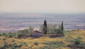 Bulgaria’s Summer Evenings: Enjoying Local Life in August 2026