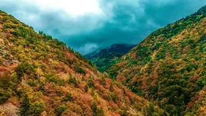 Discovering the Rhodope Mountains: Bulgaria’s Natural and Cultural Wonders