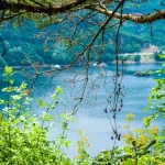 Taste of Autumn: Discovering Bulgaria’s Seasonal Delights in September 2026