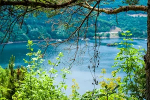 Taste of Autumn: Discovering Bulgaria’s Seasonal Delights in September 2026