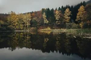 Best Day Trips from Ruse: Discovering Northern Bulgaria’s Treasures
