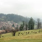 Step Back in Time: Exploring the Historic Houses of Koprivshtitsa, Bulgaria