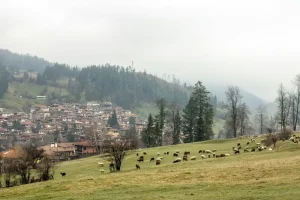 Step Back in Time: Exploring the Historic Houses of Koprivshtitsa, Bulgaria